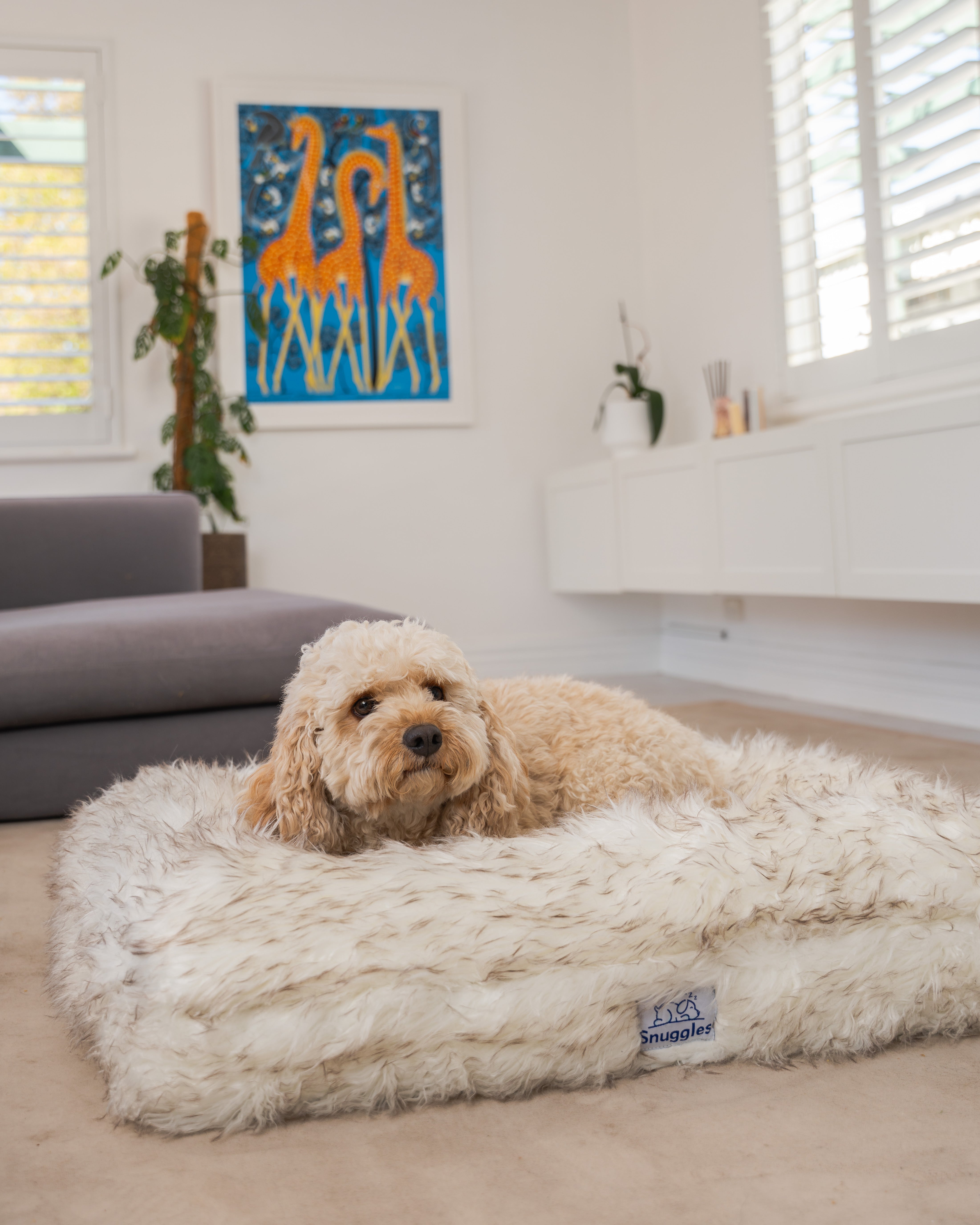 Snuggles Orthopaedic Bed